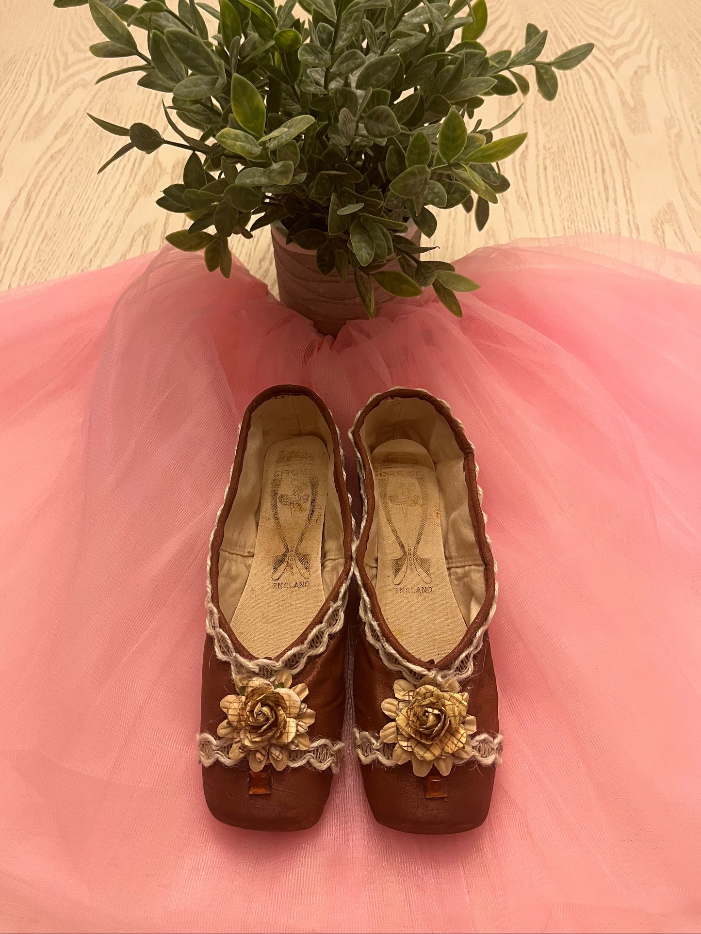 Brown~Skinned Ballerina