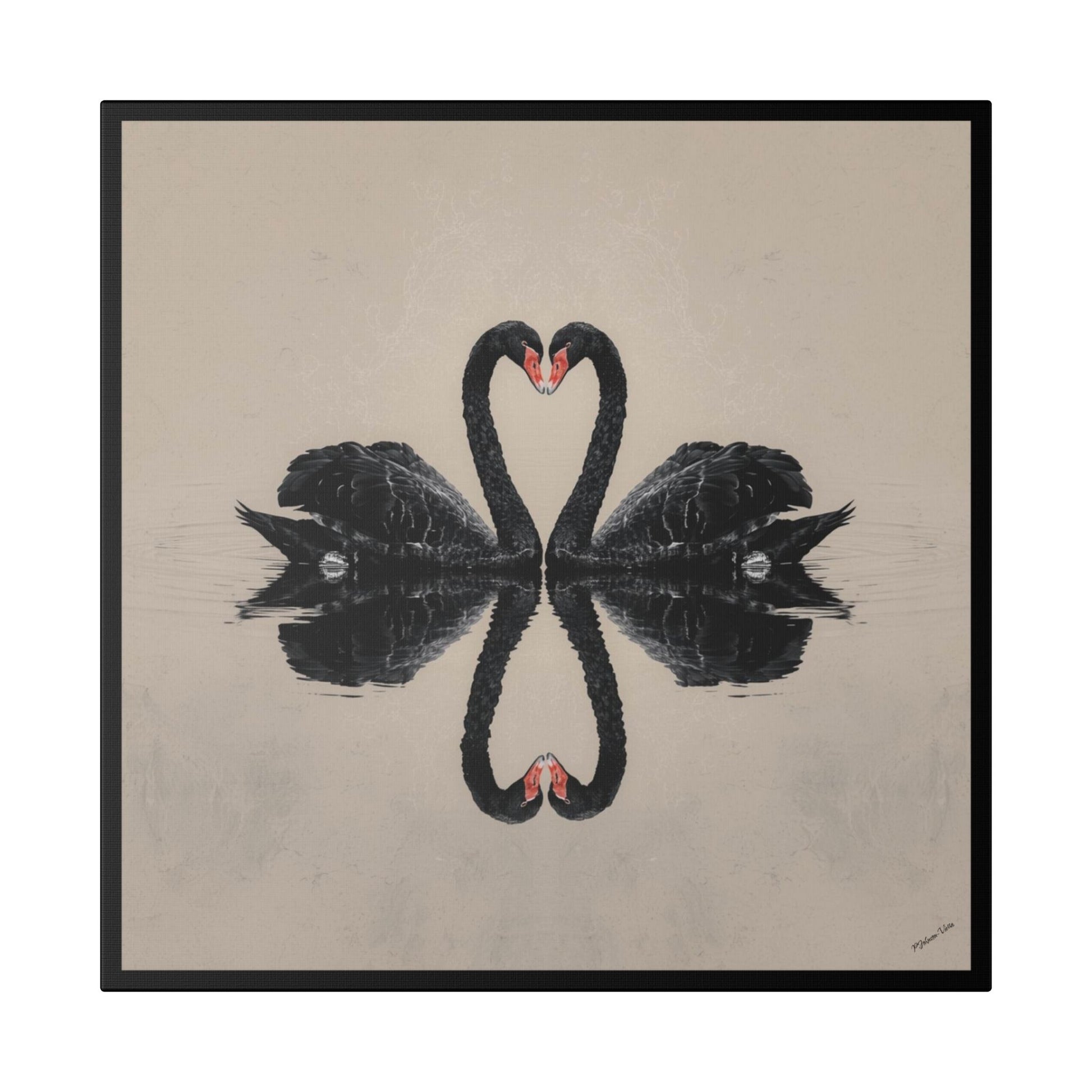 Framed Canvas Print~Black Swan Dance