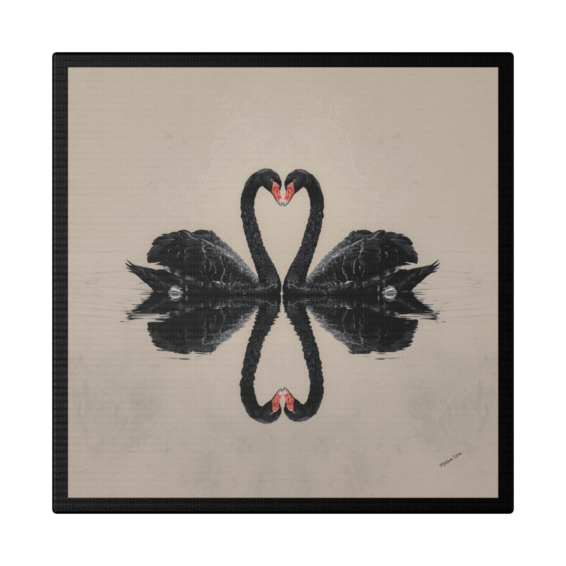 Framed Canvas Print~Black Swan Dance