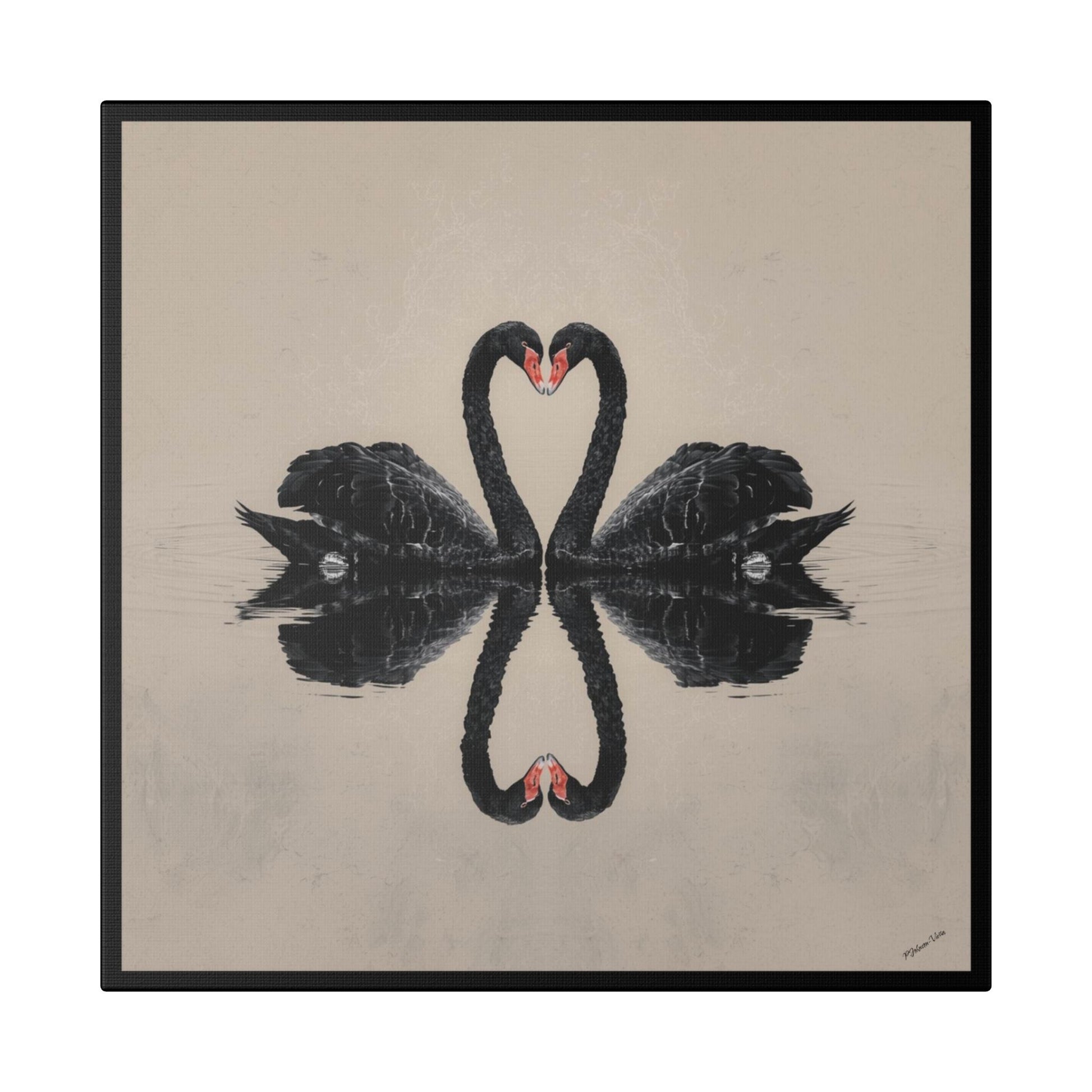 Framed Canvas Print~Black Swan Dance