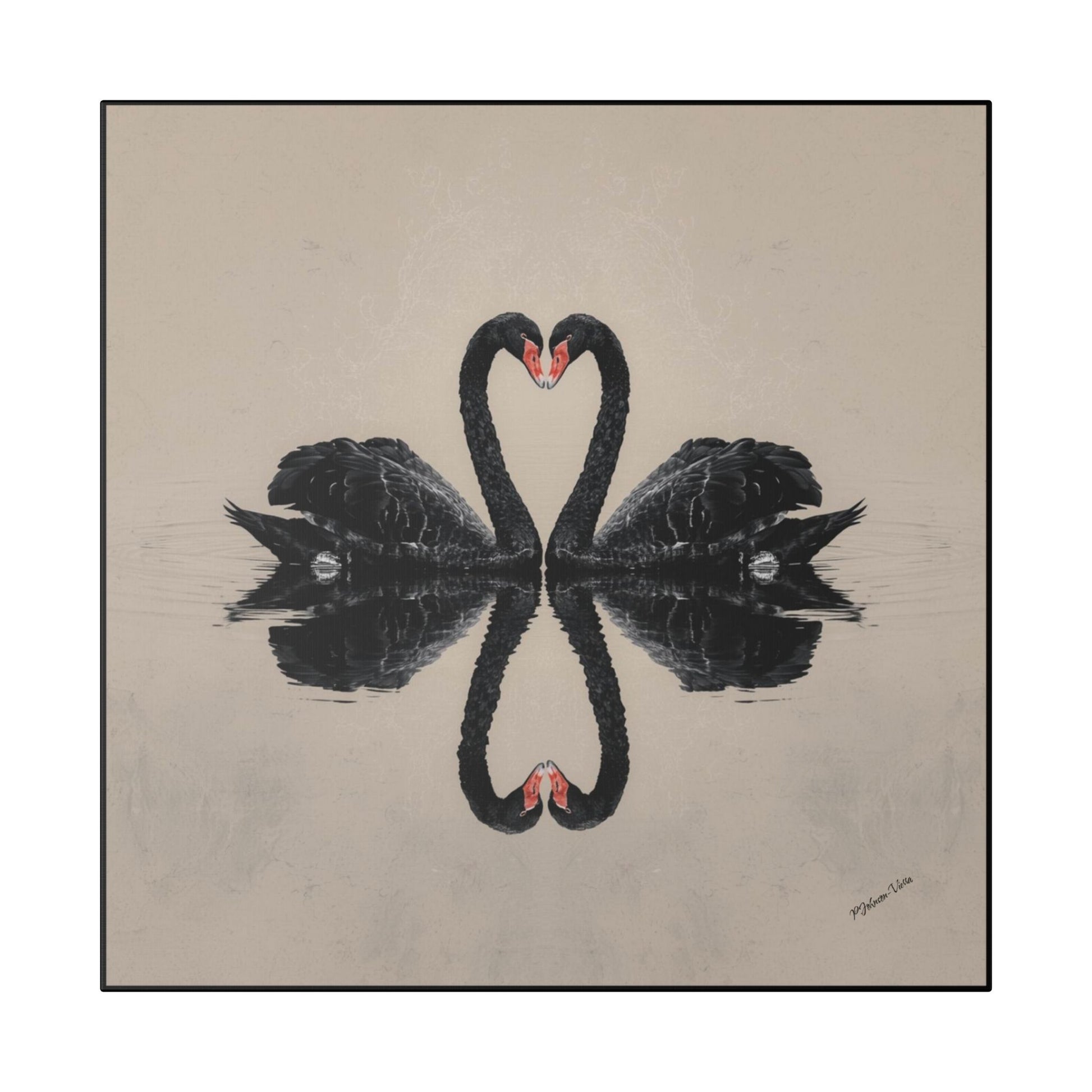Framed Canvas Print~Black Swan Dance