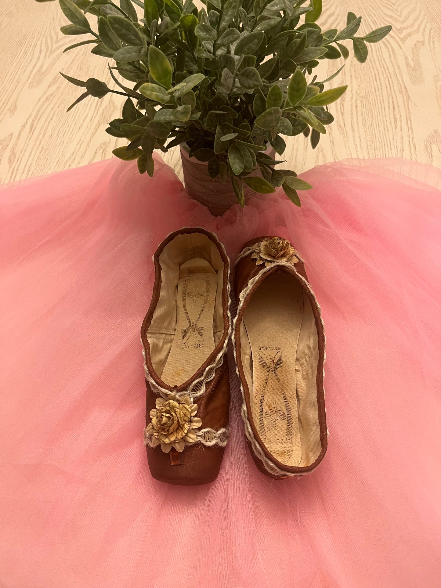 Brown~Skinned Ballerina